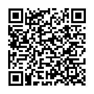 QR Code WhatsApp